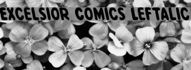 Excelsior Comics Leftalic Font examples