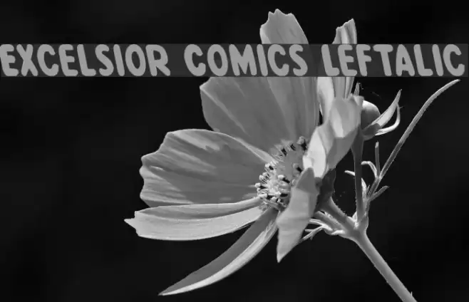 Excelsior Comics Leftalic Font examples