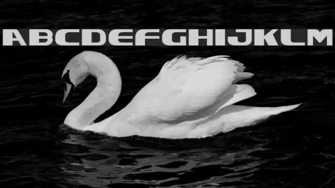 Excelsior Font examples