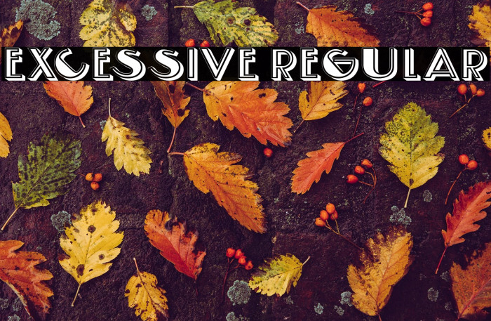 Excessive Regular Example 1