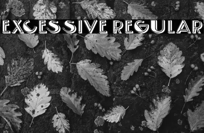 Excessive Regular Example 1