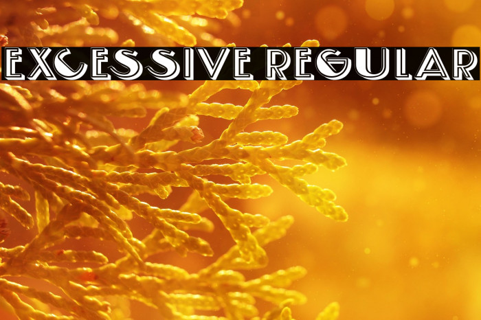 Excessive Regular Example 3