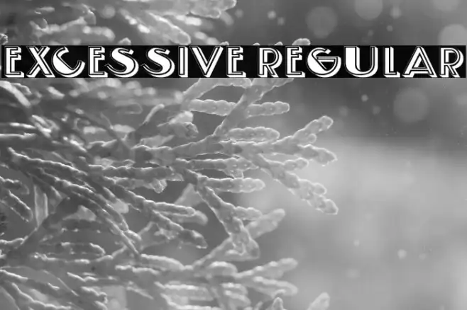 Excessive Regular Example 3
