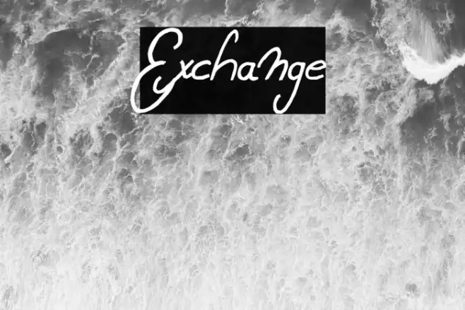 Exchange Example 1