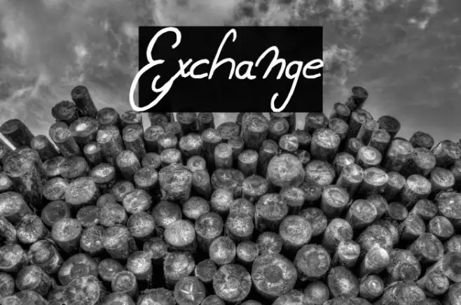 Exchange Example 2