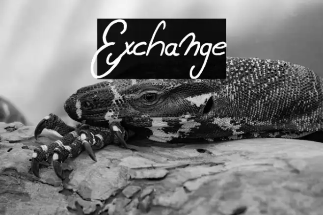 Exchange Example 3