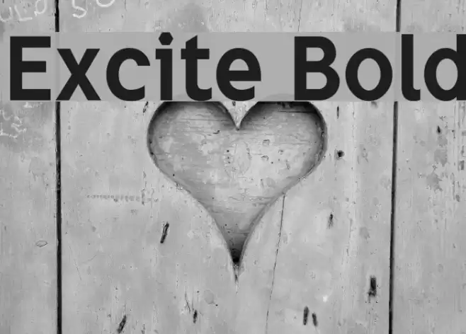 Excite Bold Font examples