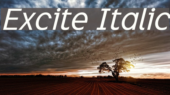 Excite Italic Font examples