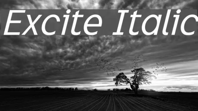 Excite Italic Example 2