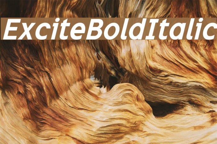ExciteBoldItalic Font examples