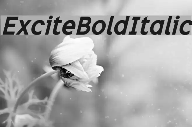 ExciteBoldItalic Font examples