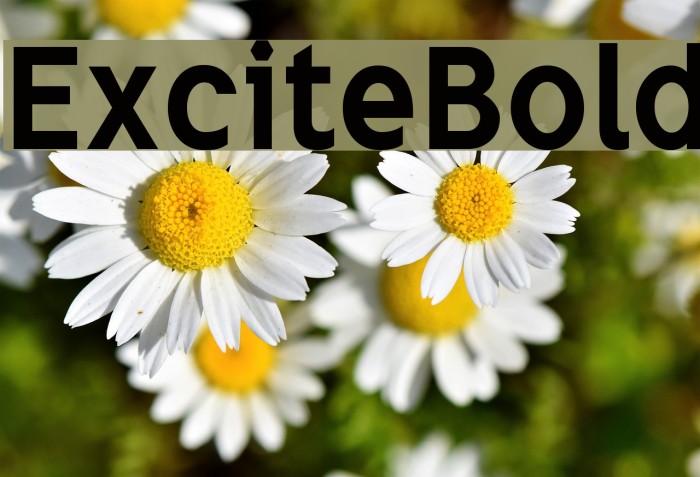 ExciteBold Font examples