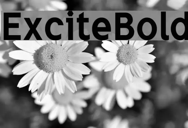 ExciteBold Example 1