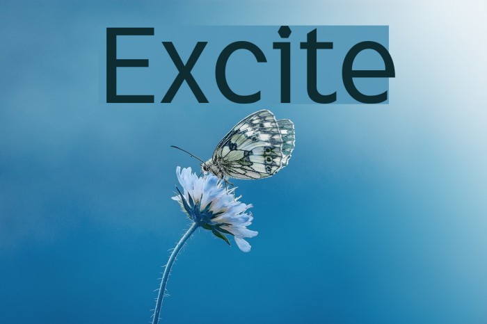 Excite Font examples