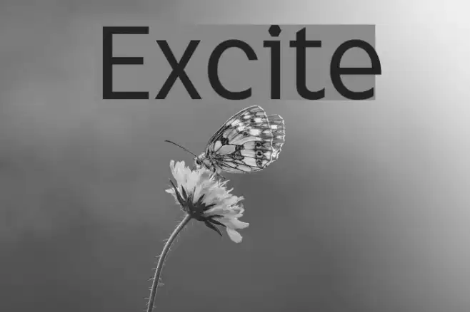 Excite Example 1