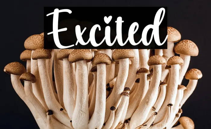 Excited Example 1