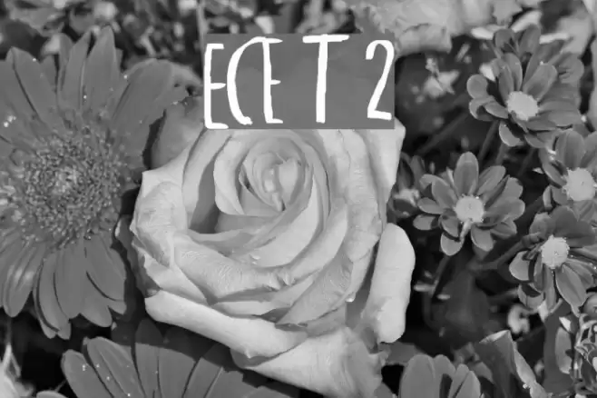 Exciter Tour 2 Font examples