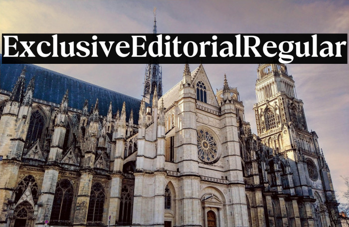 Exclusive Editorial Regular Example 3