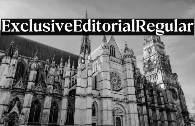Exclusive Editorial Regular Example 3