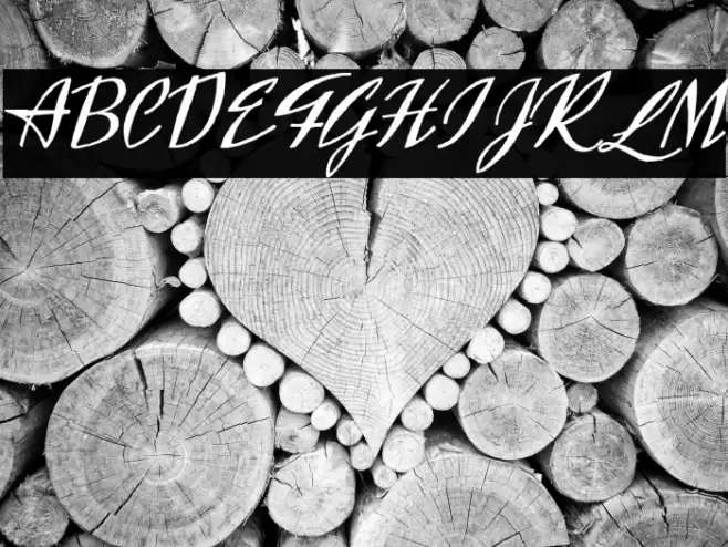 Exclusivite Font examples