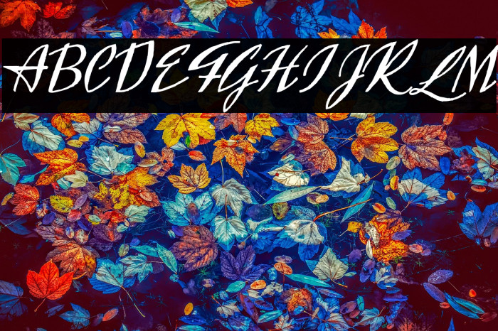 Exclusivite Example 2