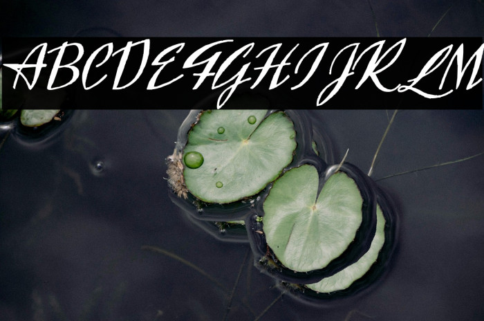 Exclusivite Example 3