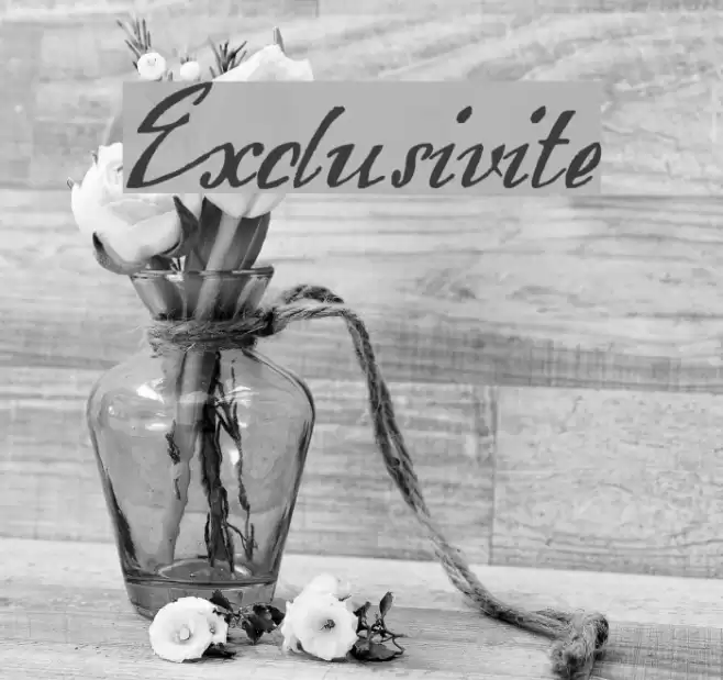 Exclusivite Font examples