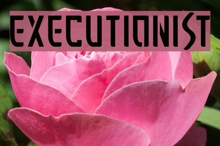 Executionist Font examples