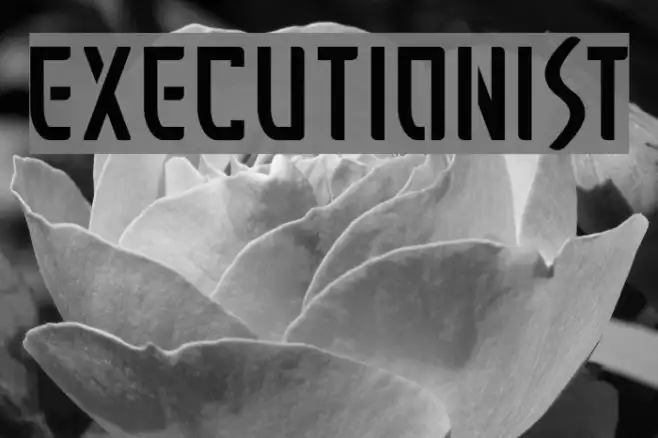 Executionist Example 2