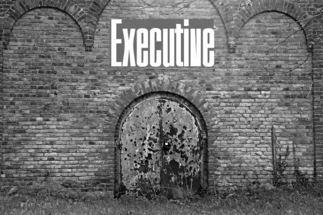 Executive Font examples