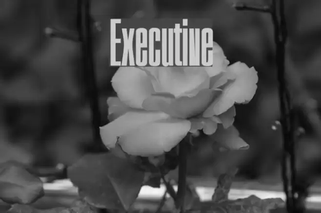 Executive Font examples