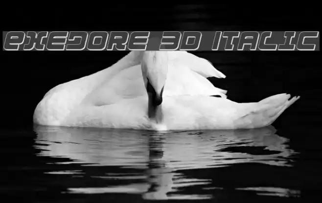 Exedore 3D Italic Font examples