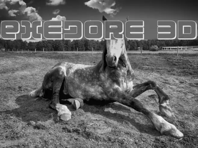 Exedore 3D Example 3