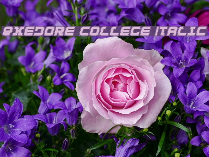 Exedore College Italic Schriftart examples