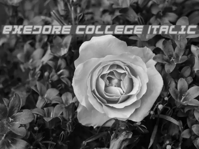 Exedore College Italic Font examples