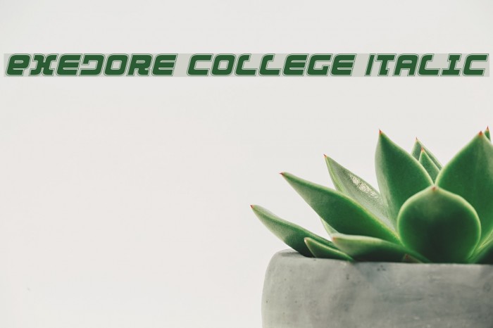 Exedore College Italic Schriftart examples