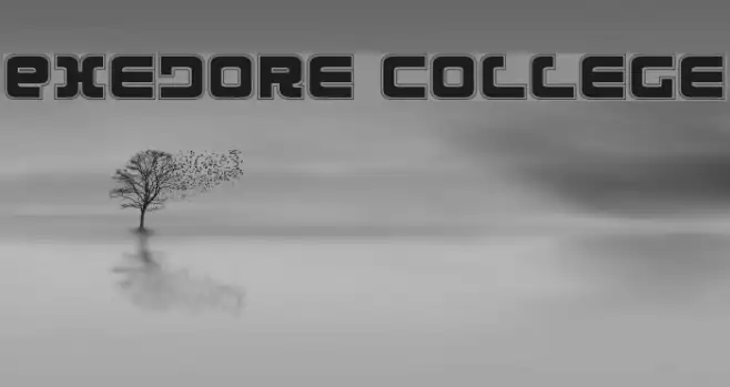 Exedore College Example 3