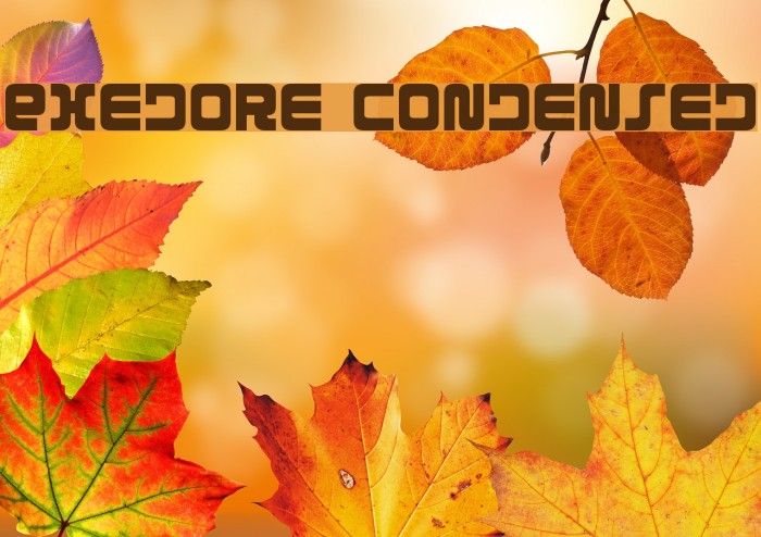Exedore Condensed Font examples