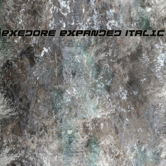 Exedore Expanded Italic Font examples