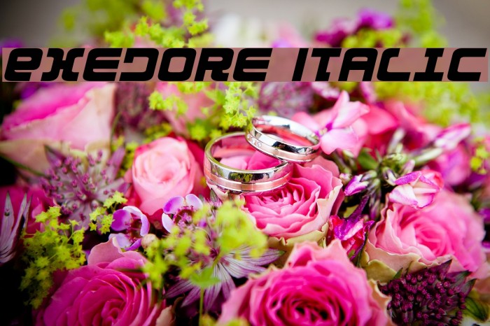 Exedore Italic Schriftart examples