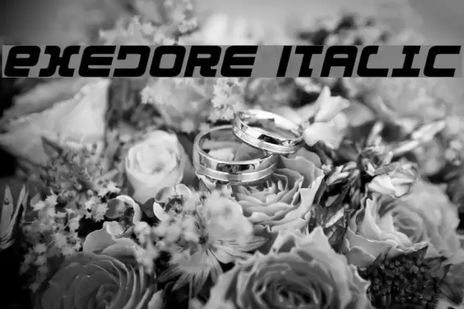 Exedore Italic Font examples