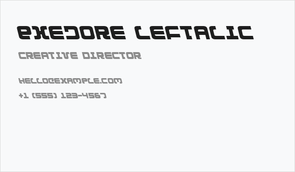 Exedore Leftalic Business Card
