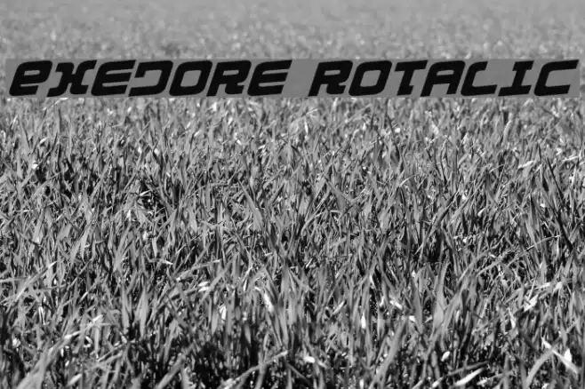 Exedore Rotalic Font examples
