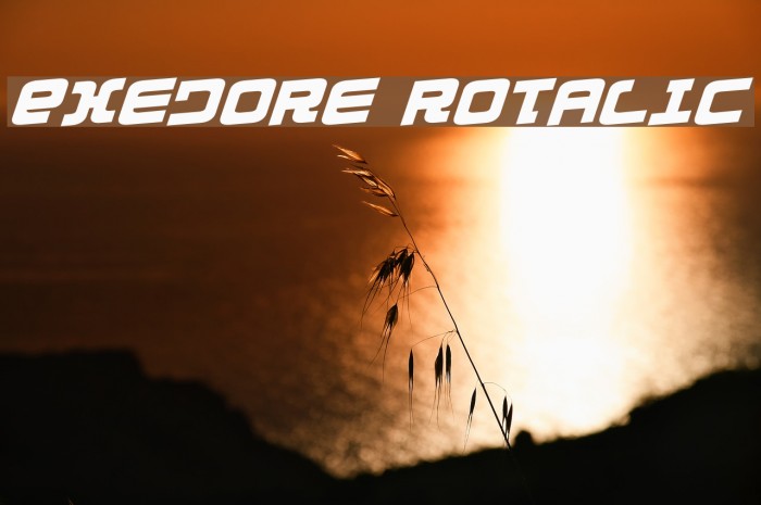 Exedore Rotalic Schriftart examples
