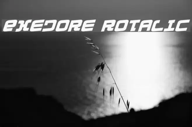 Exedore Rotalic Font examples