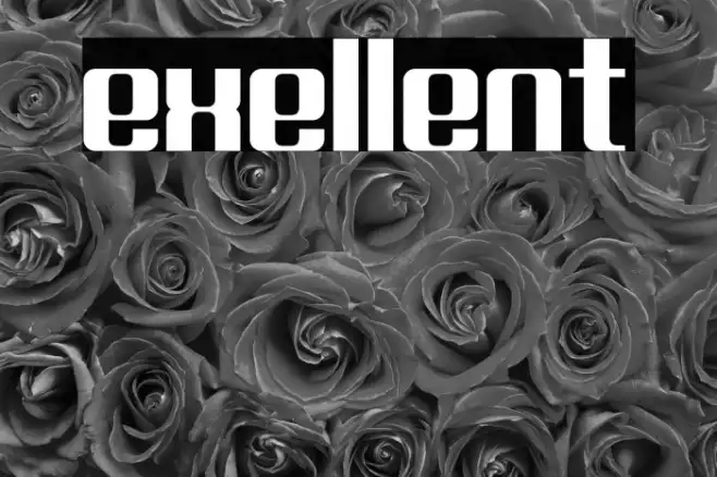 Exellent Example 3