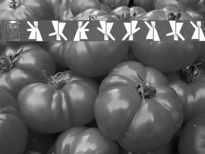 Exercises Font examples