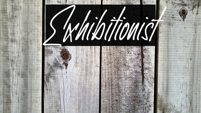 Exhibitionist Example 1