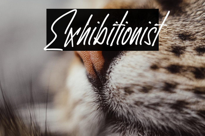 Exhibitionist Example 2