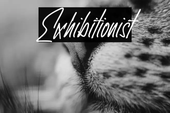 Exhibitionist Example 2